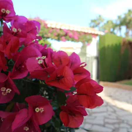 Gabriela By Family Homes Vila *
